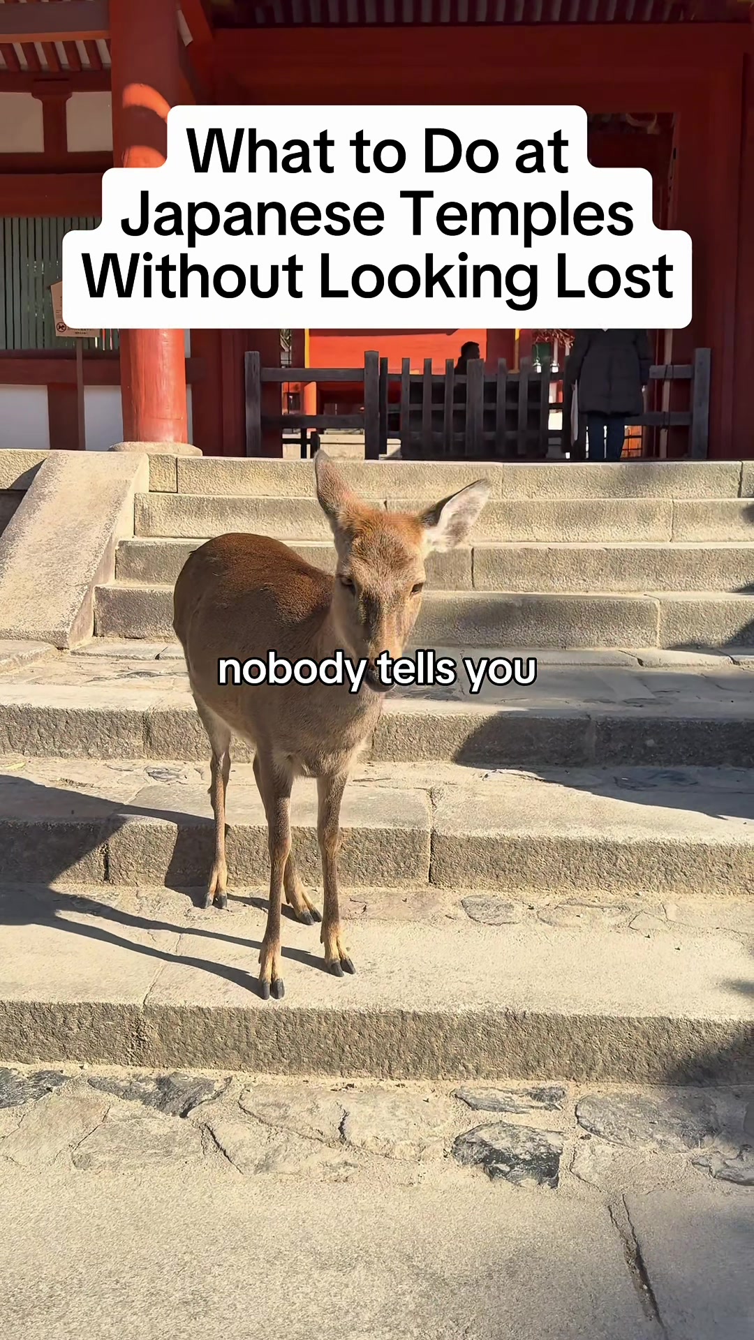 @ALLSTAR STEVEN