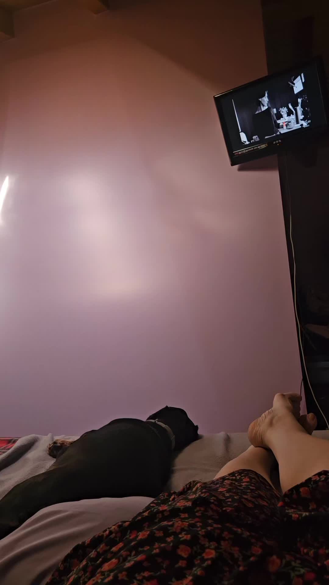 @stefff