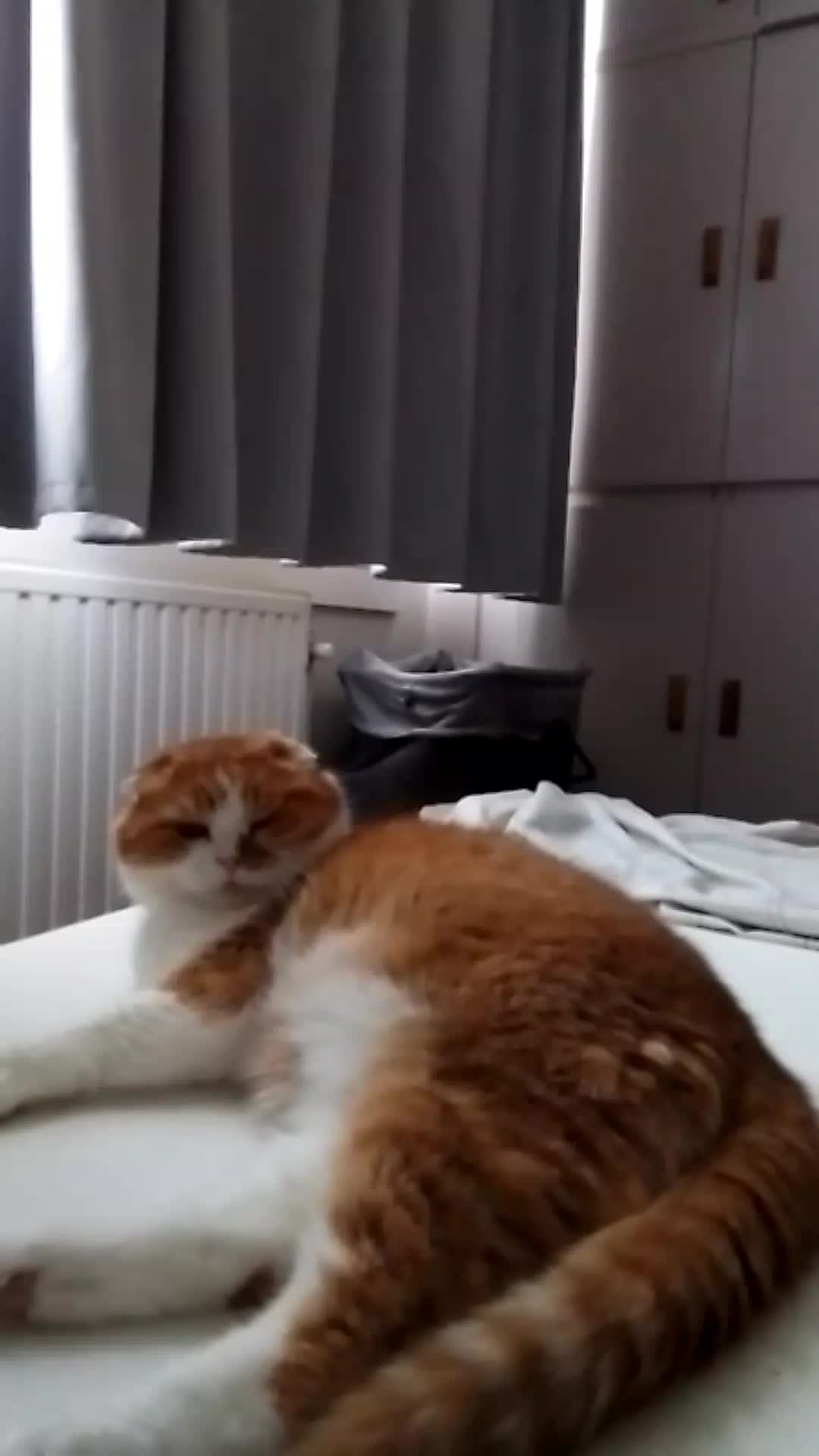 @Anneke & Simba