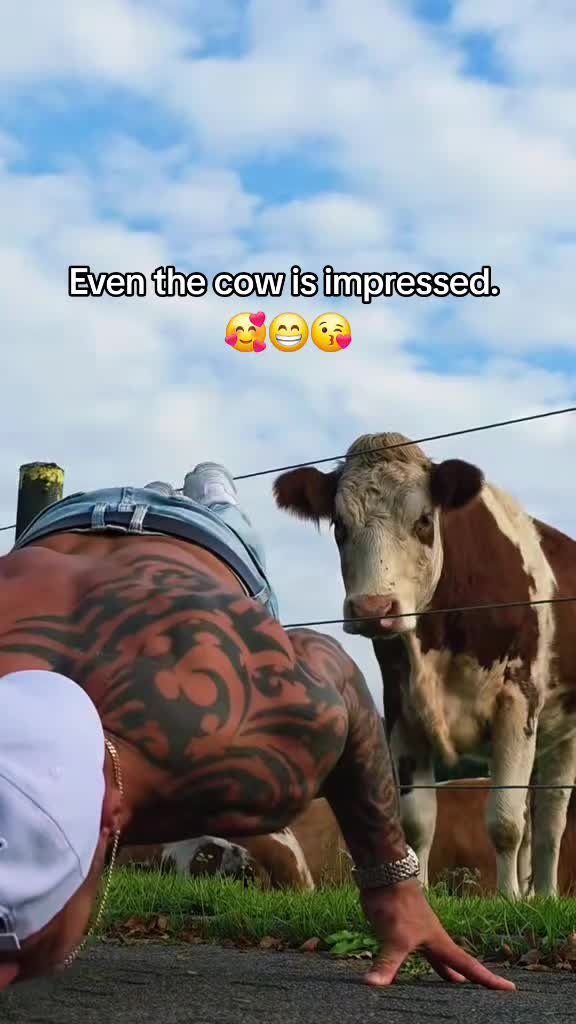 @🐴 ColdMountainRanch 🏇