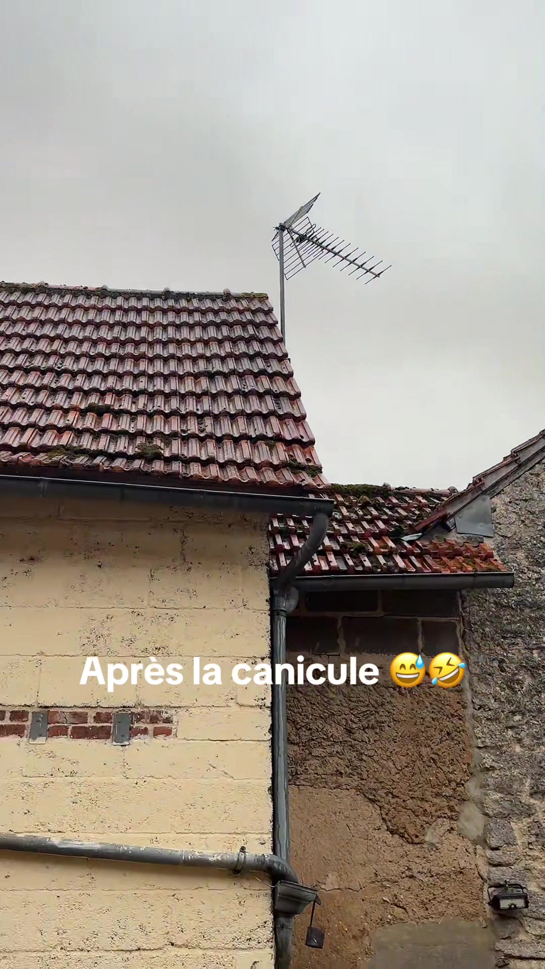 @Chatchientok