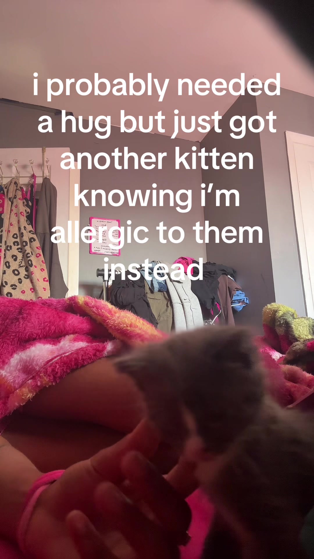 @Alluring Rue 💕🦋