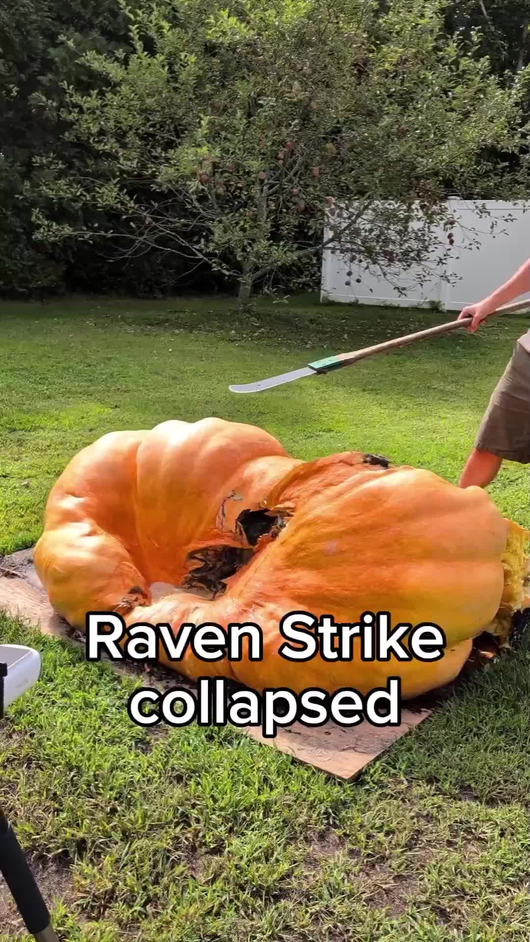 @bigpumpki