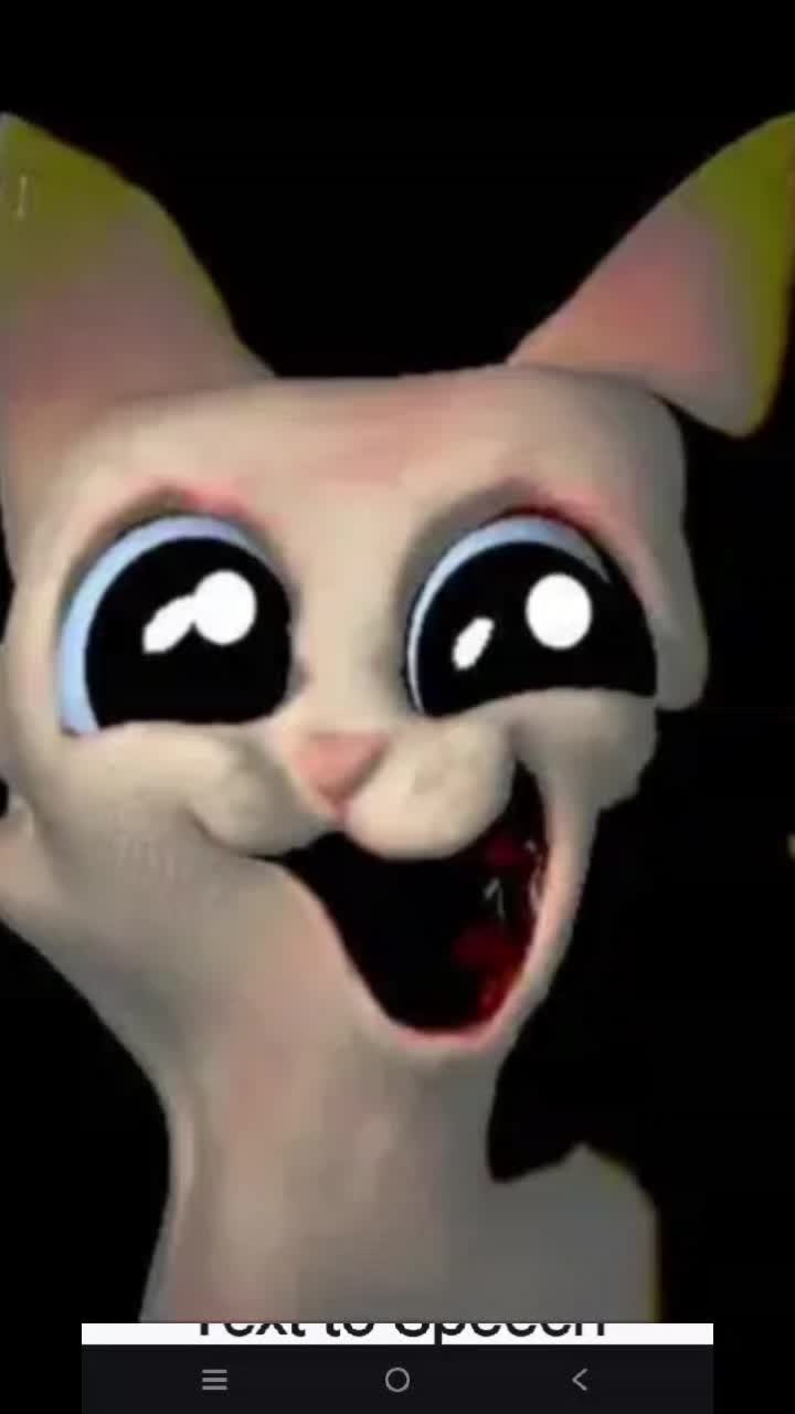 @Car the cat