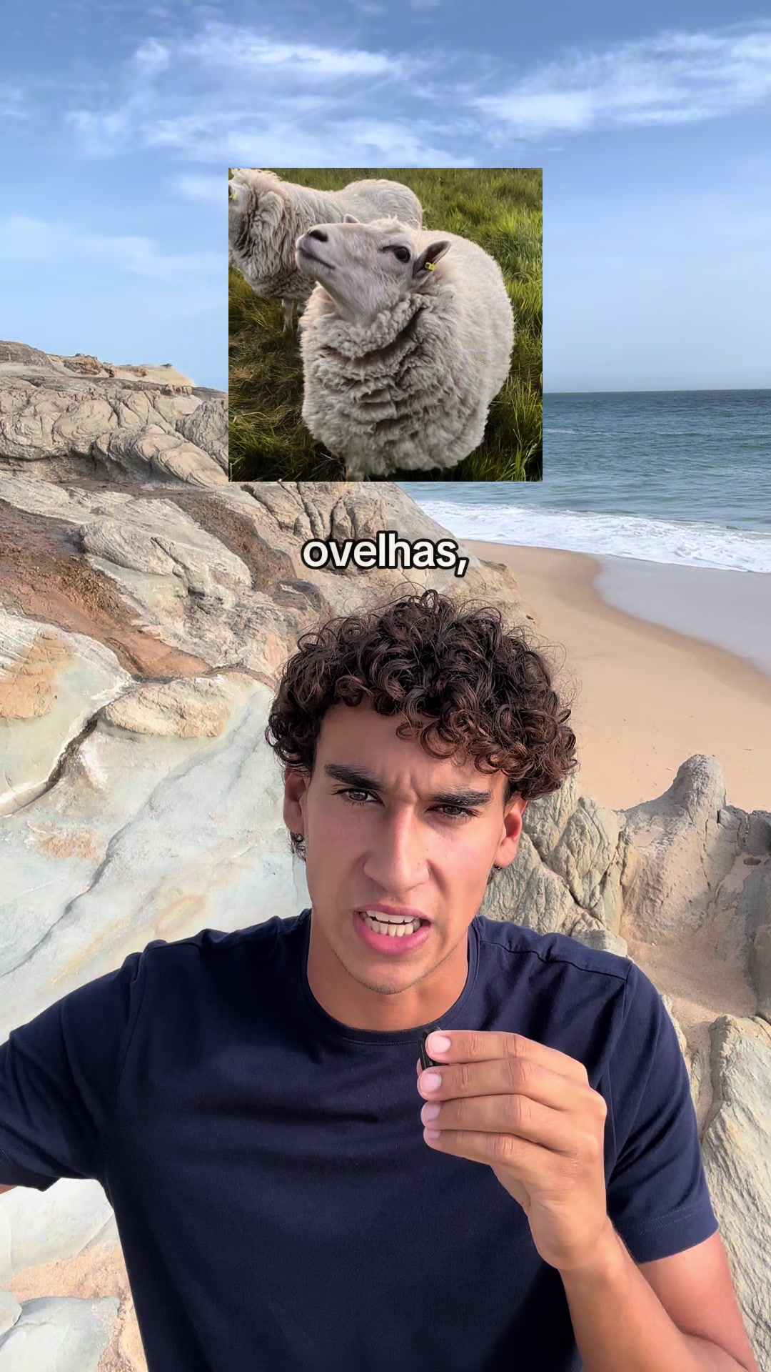 @Rodrigo Lucas