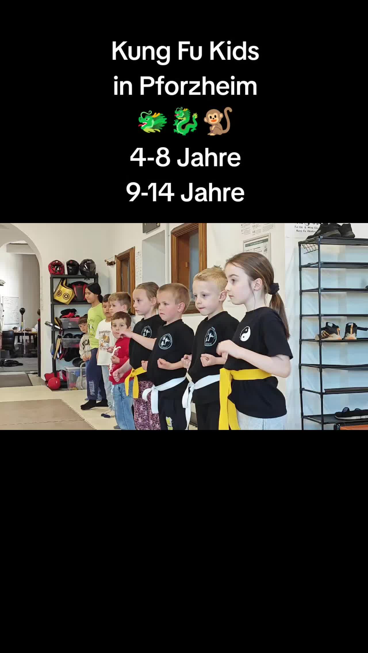 @TaiChi_Wingchun_PF