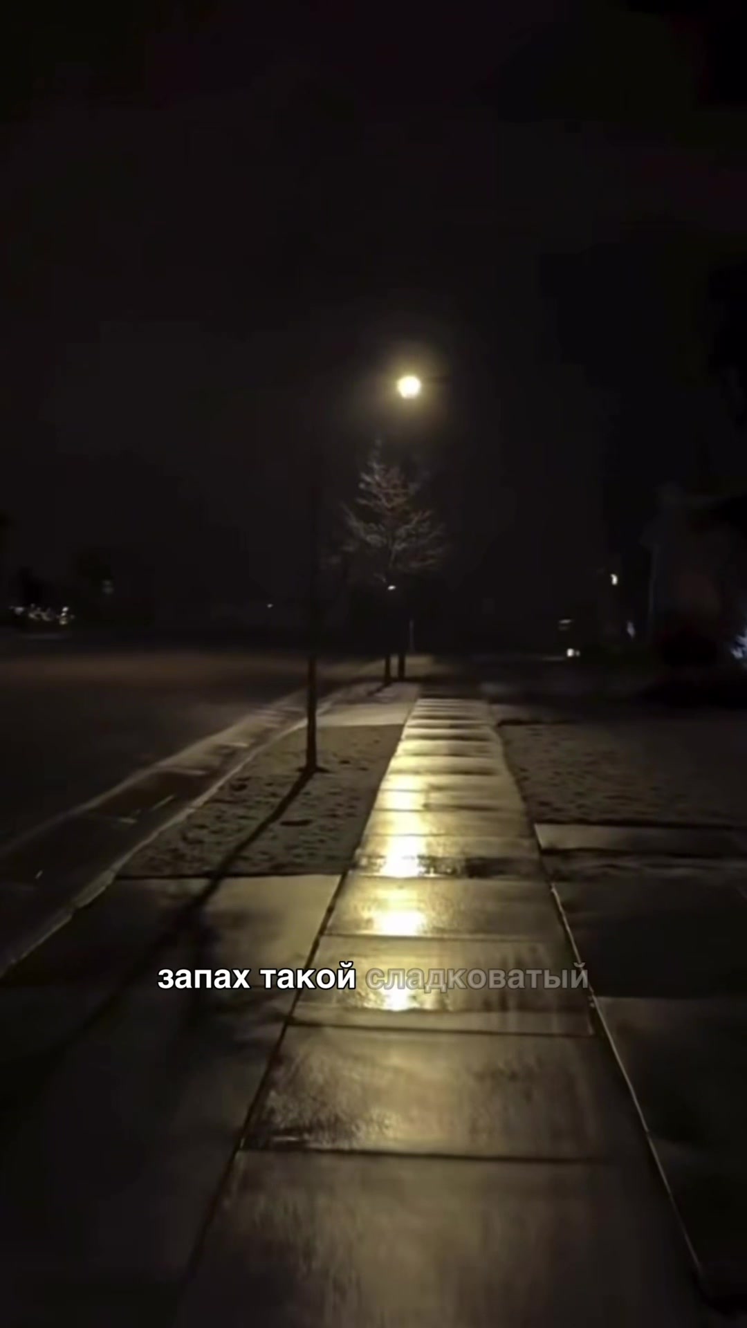 @тгк кружок всратых интересов