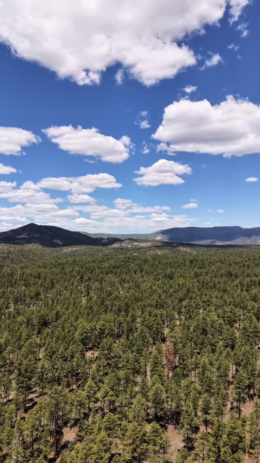 @Ridge Line Ranch