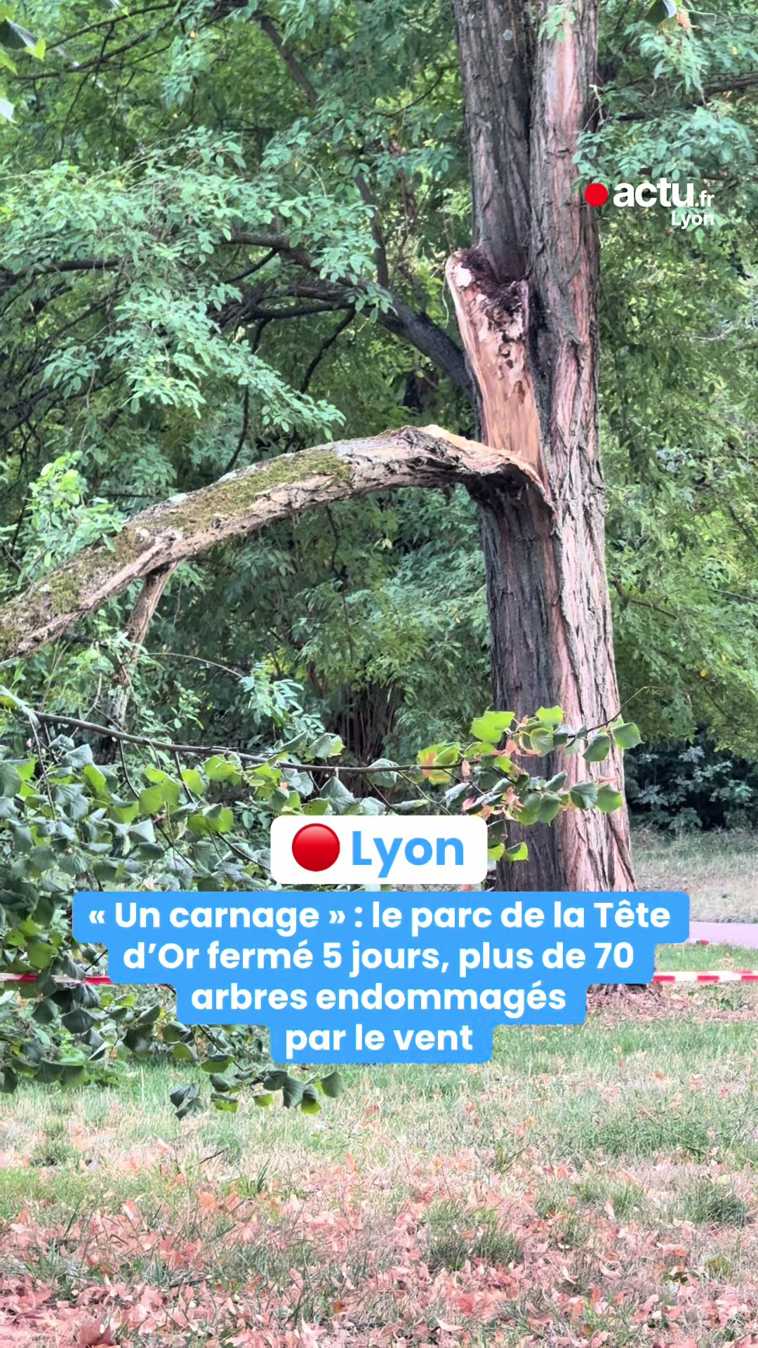 @actu Lyon