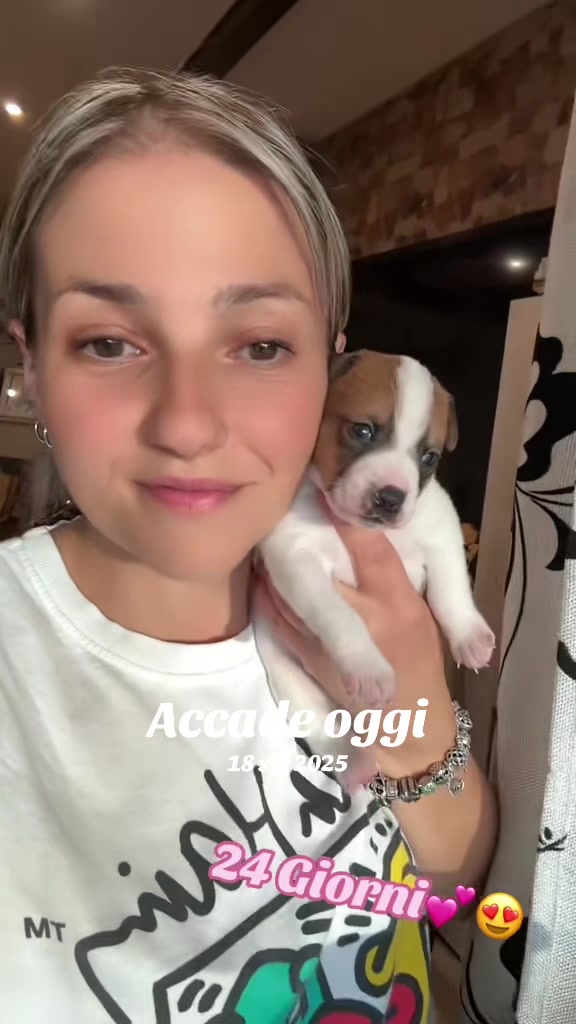 @TizianaMessina15