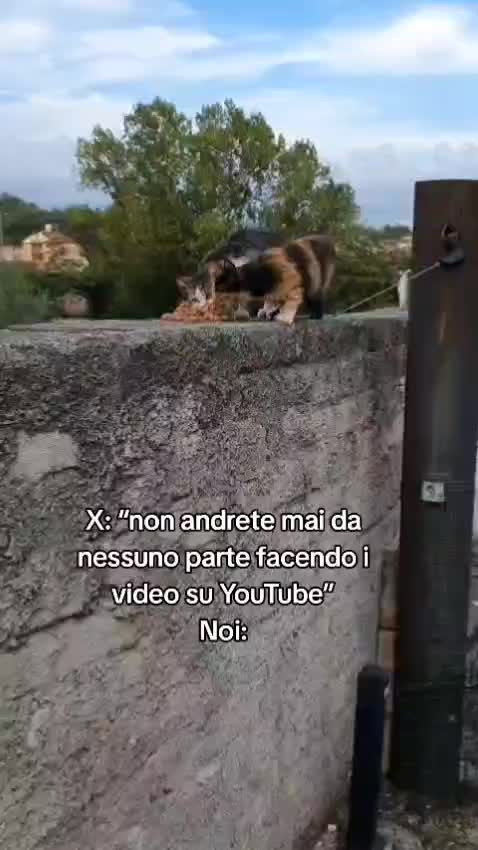 @ANIMALISTI DI FROSINONE