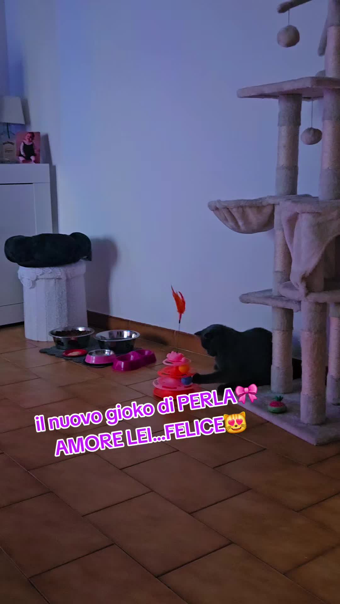 @🐺PANTERA80🐺