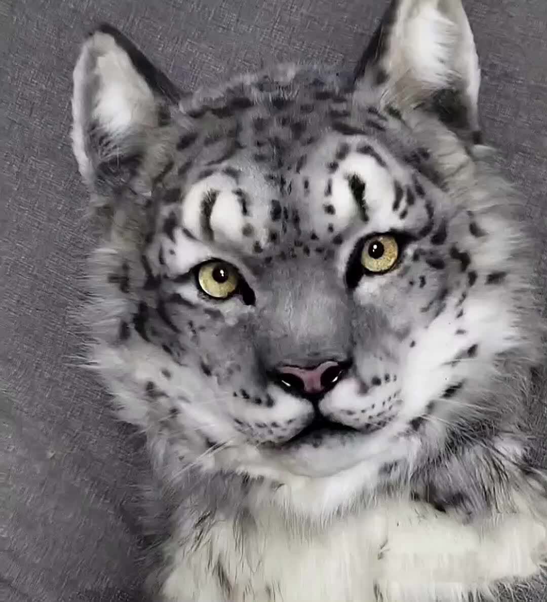 @RealFur