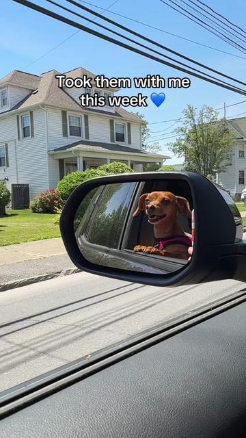 @🌻