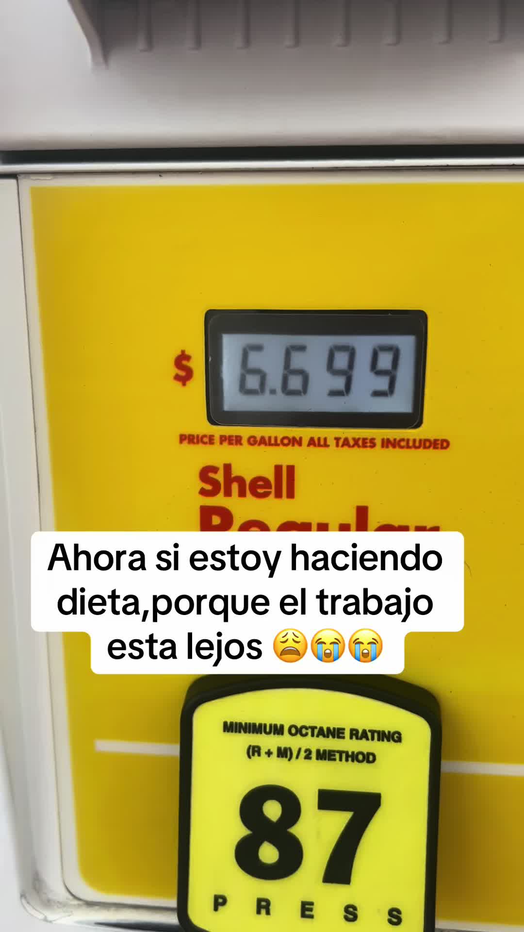 @Cinthya Carrillo
