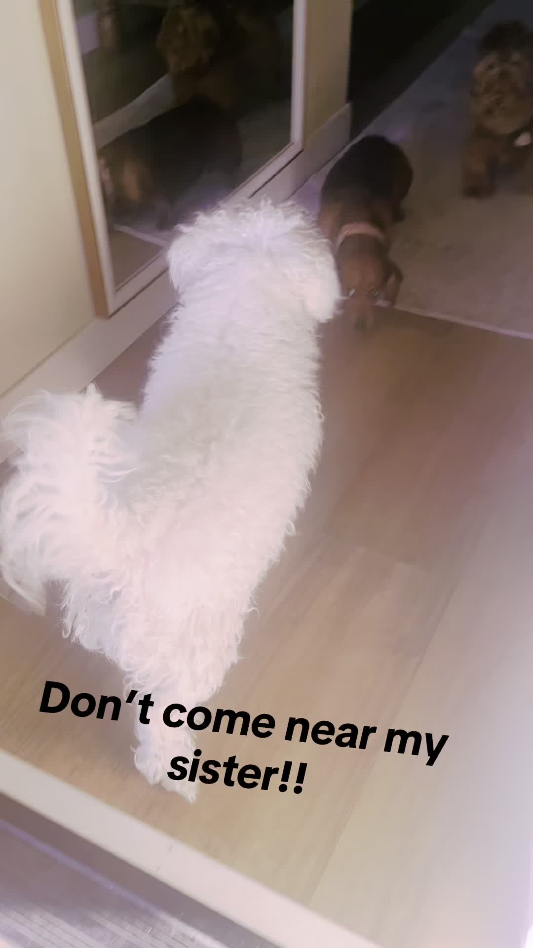 @Mari