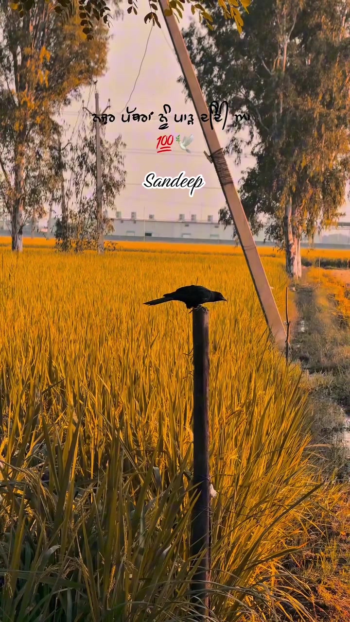 @Sdeep_2022