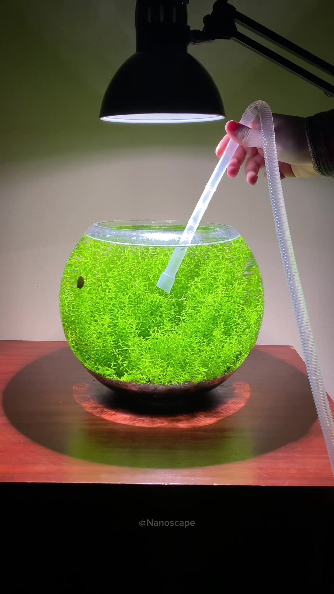@Nanoscape