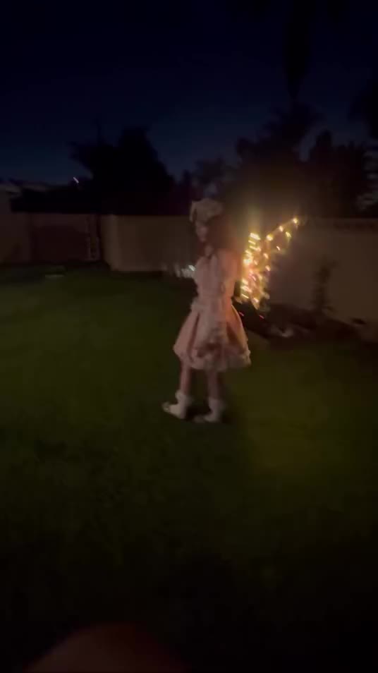 @Lady Lily😼レディ・リリー😼🩷