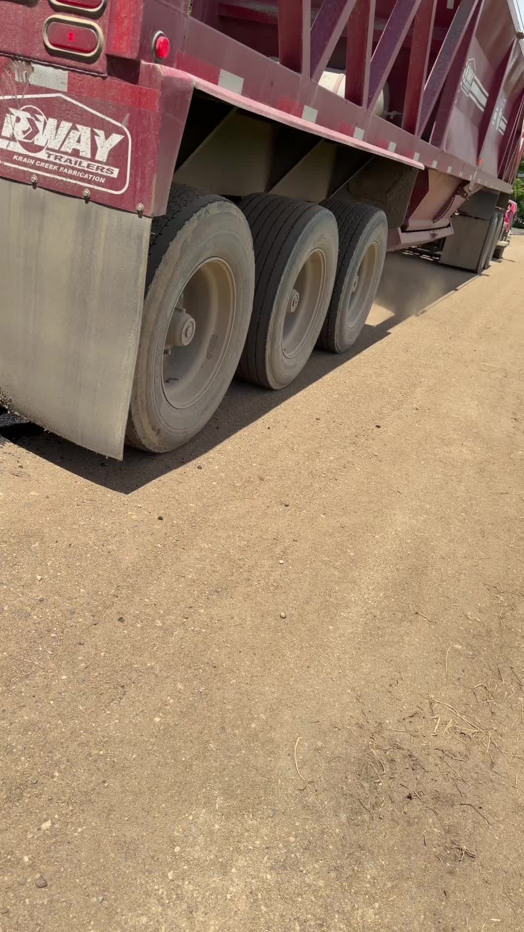 @CALIBOI559