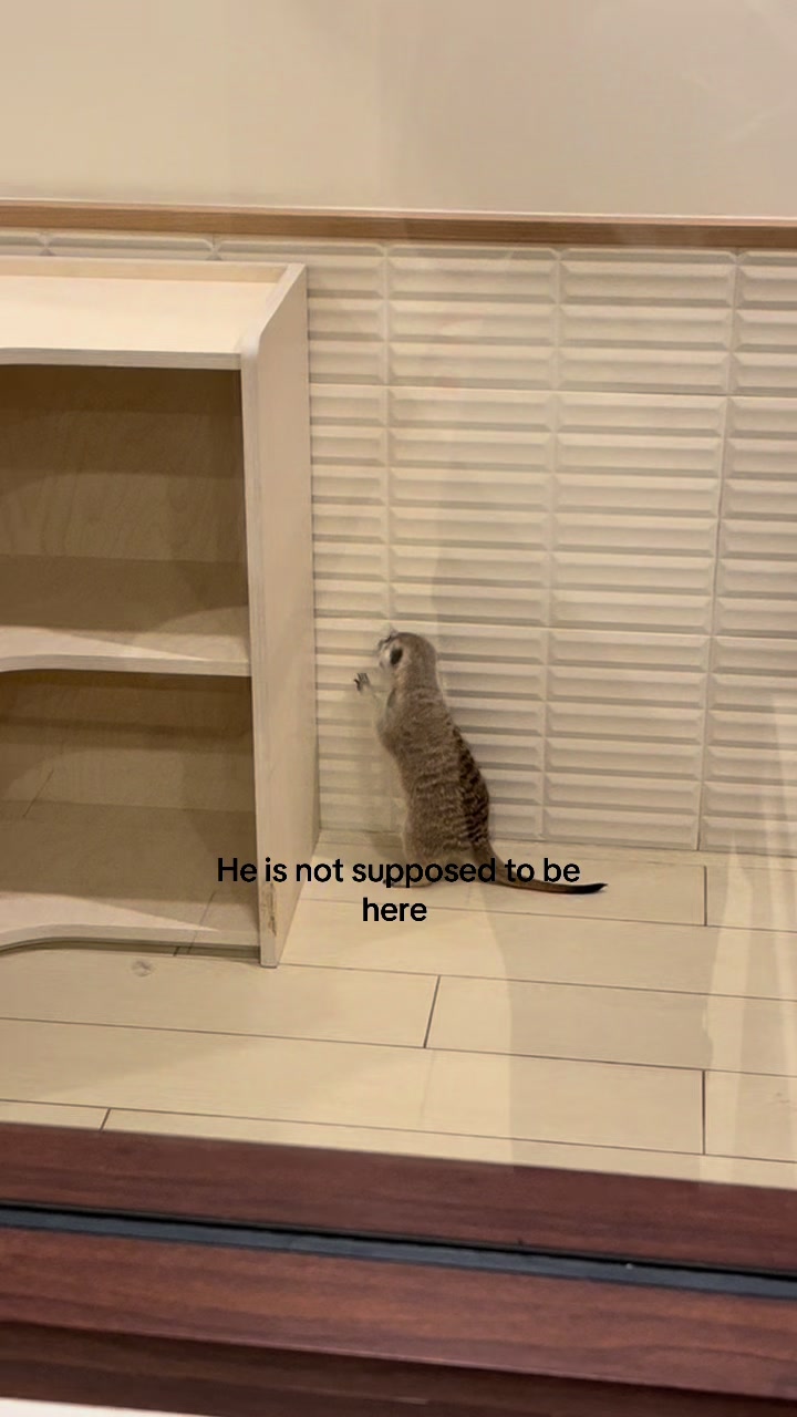 @☦︎
