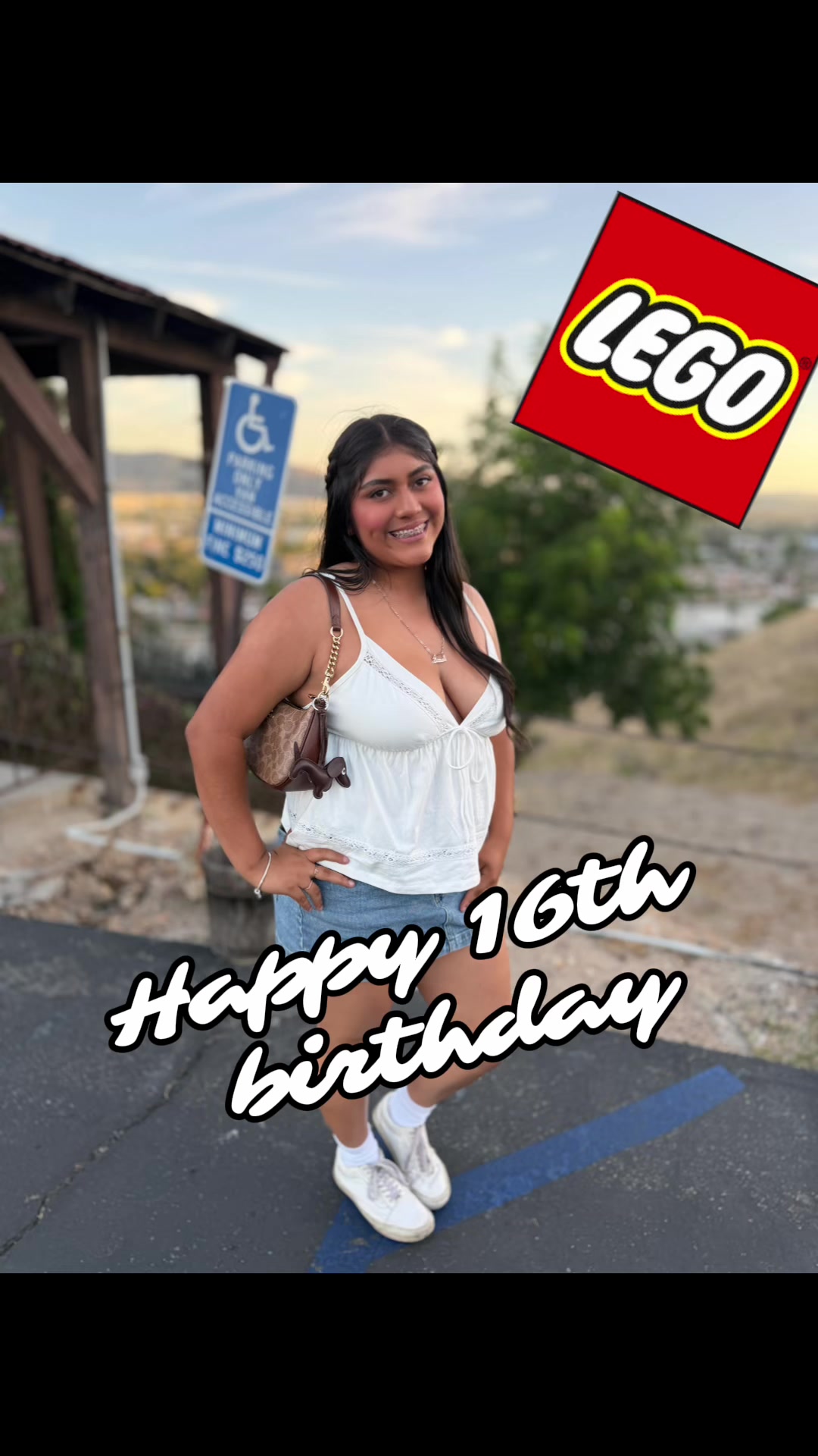 @That Lego Guy