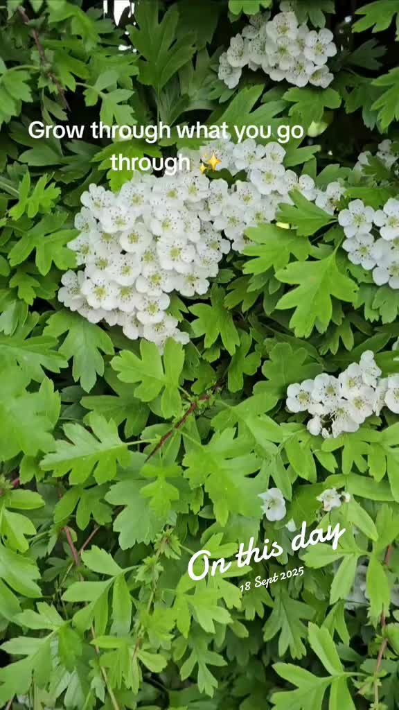 @Diary of a nature lover