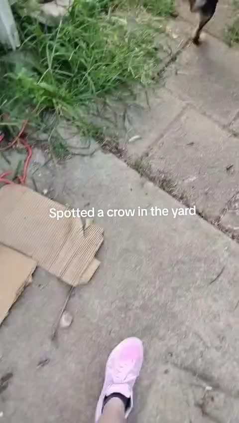 @fartbox🍉