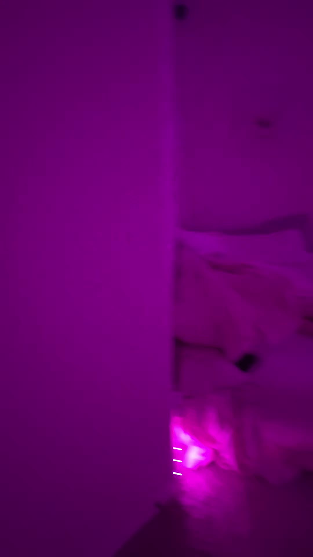 @ηαυкι