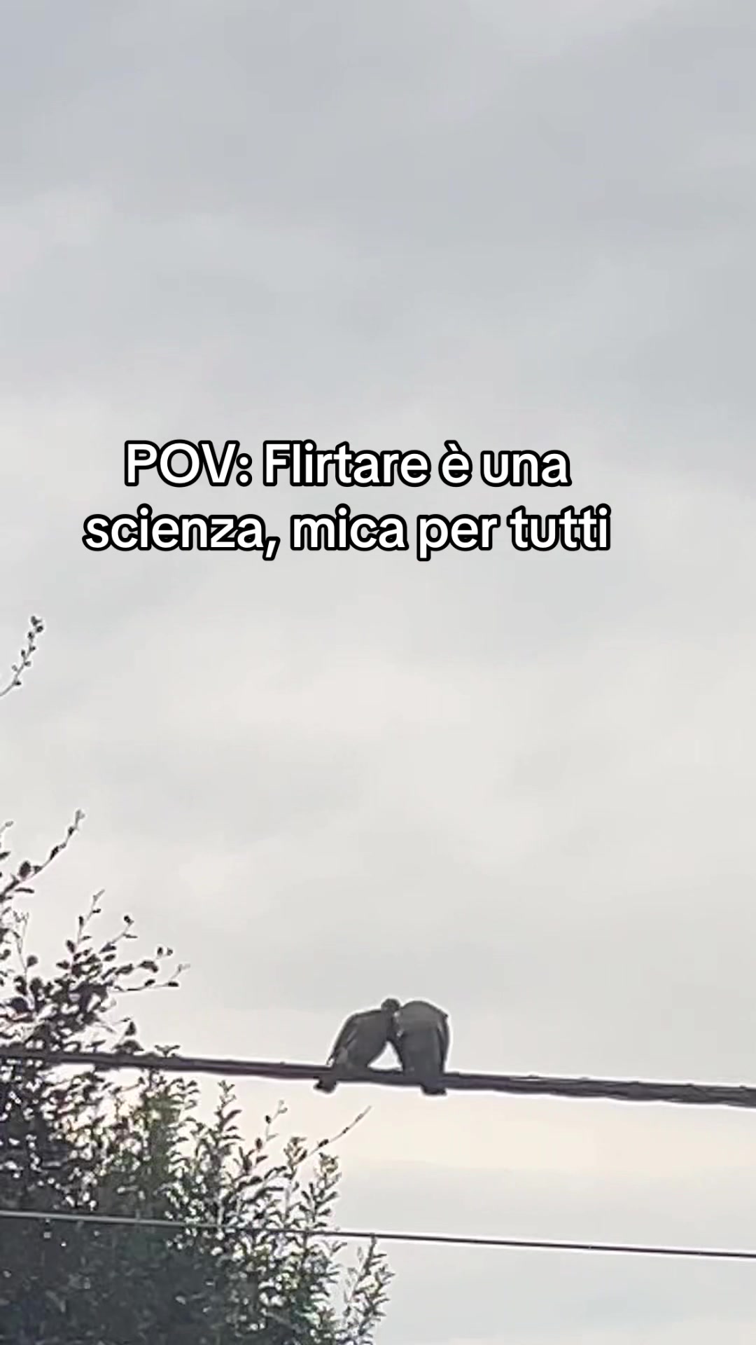 @francybamby