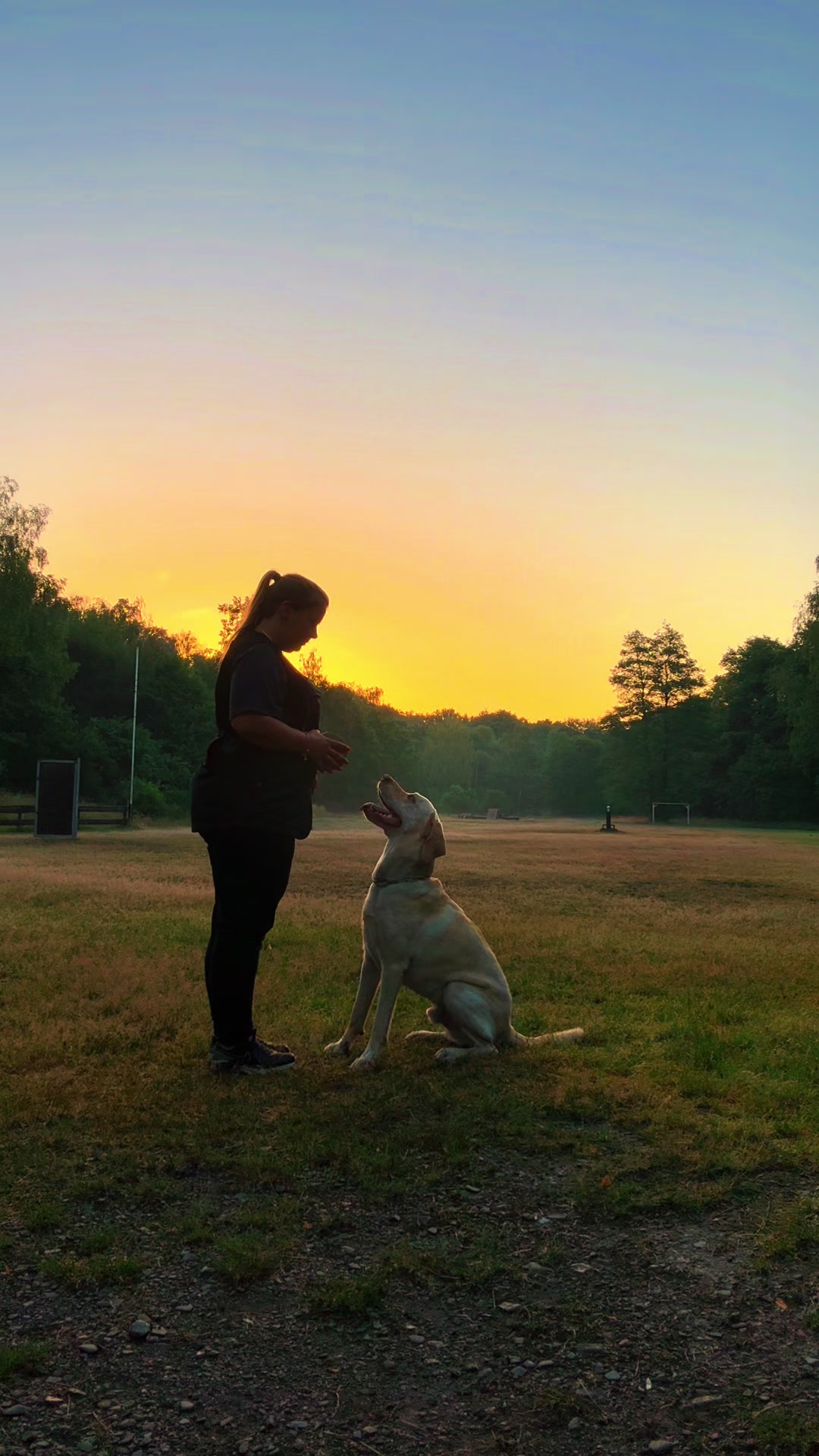 @harzerhunde