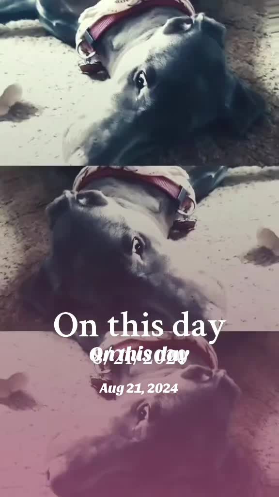 @Tina72🤙