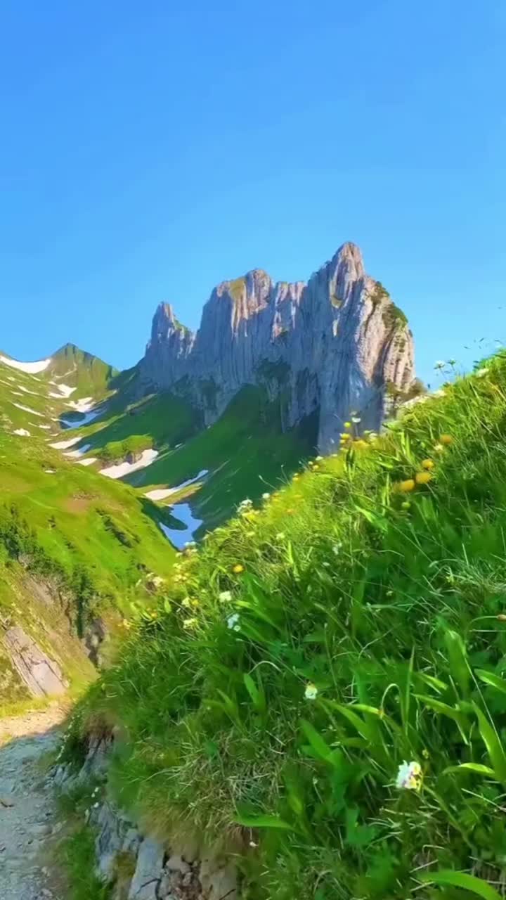 @ابو وسيم الهاشمي