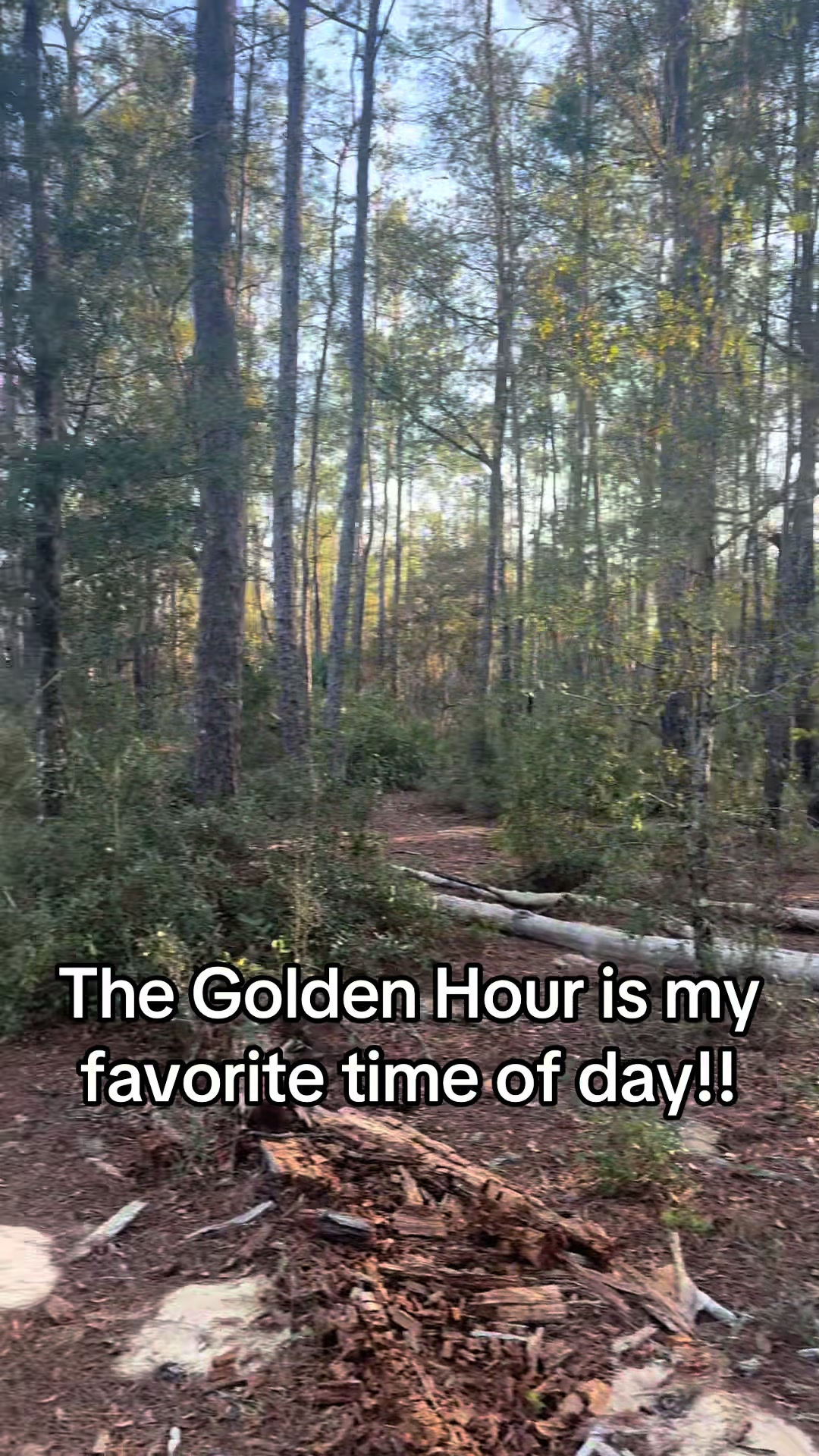 @TownsNTrails
