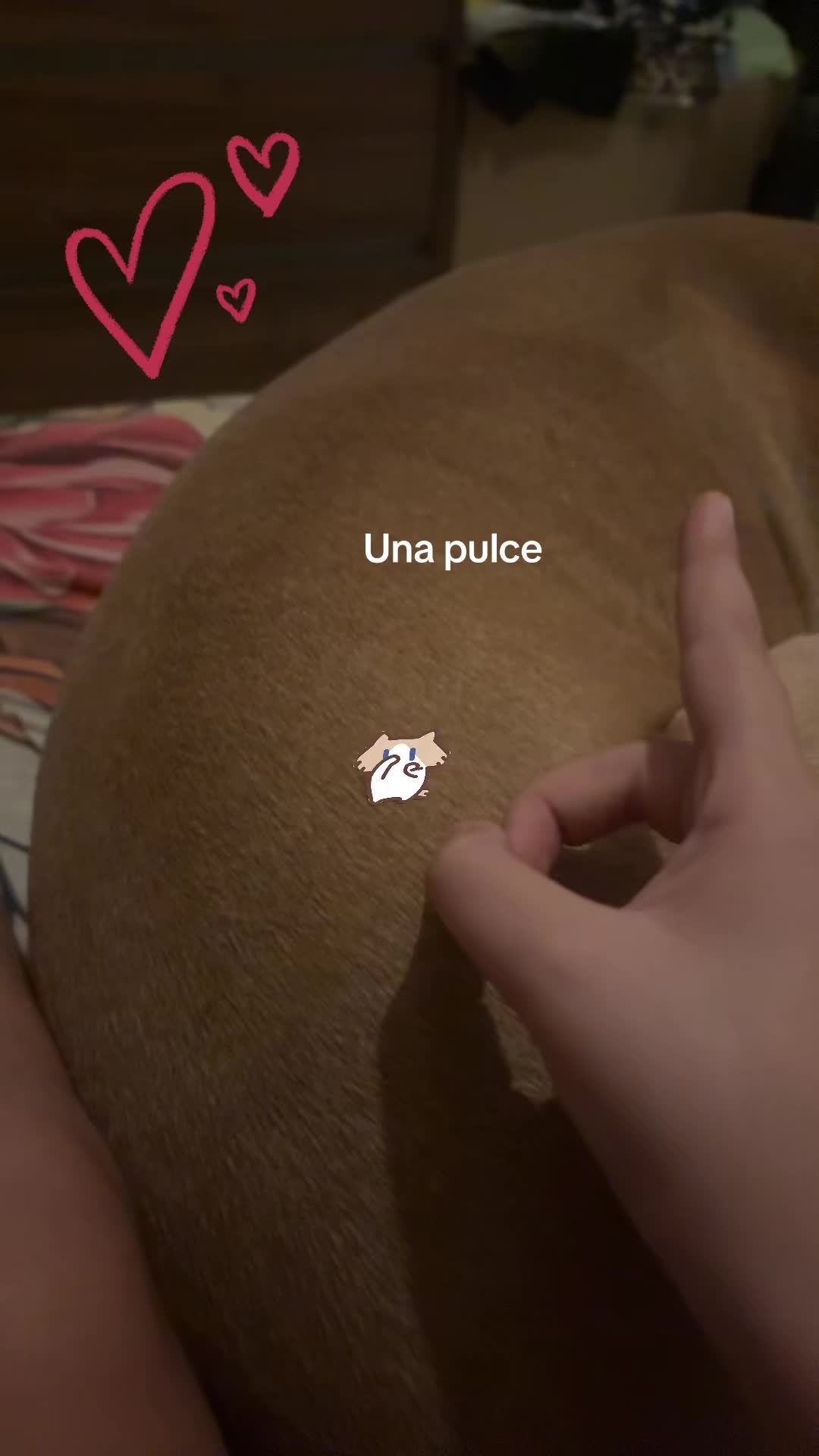 @Anna. Conticelli