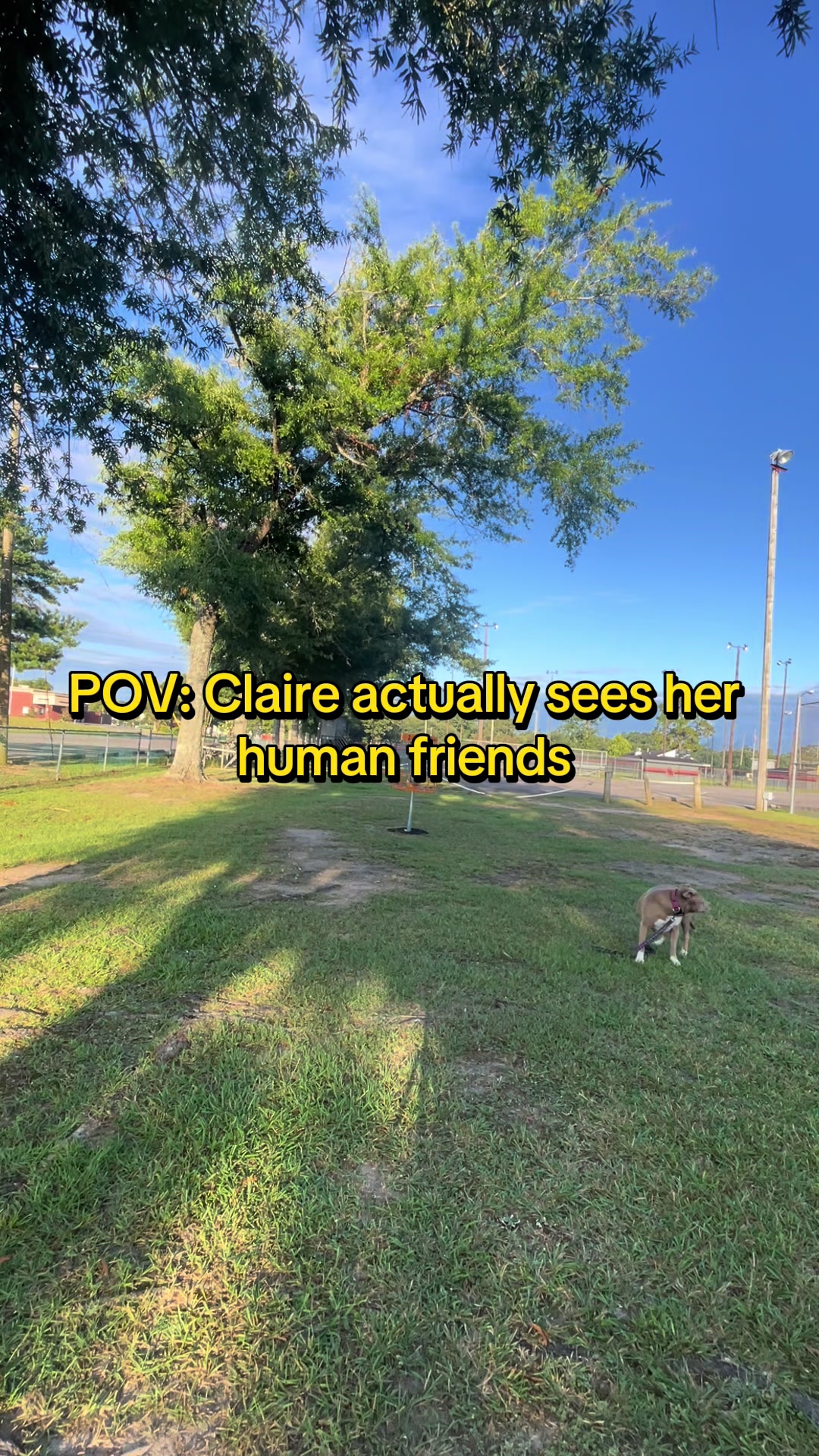 @Not The Worst Disc Golf