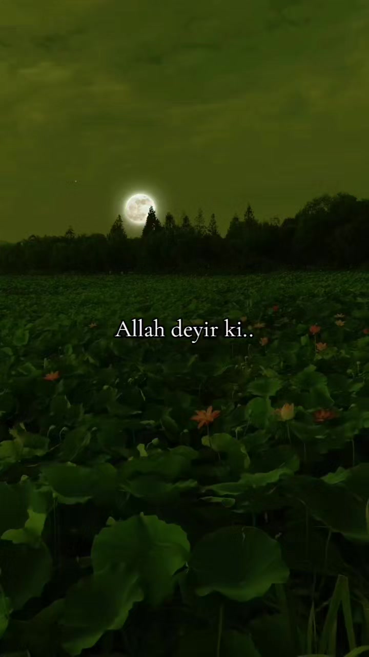 @𝐒𝐚𝐛𝐫_𝐘𝐨𝐥𝐮🌸🕋