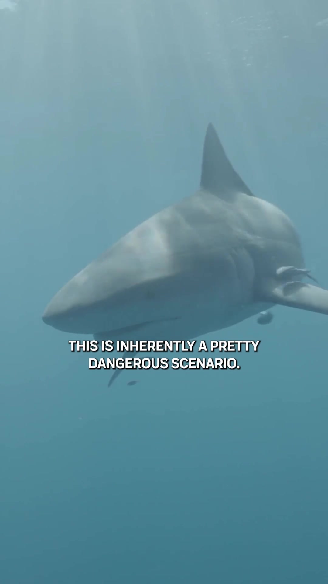 @Discovery