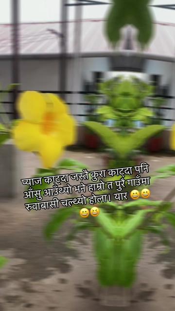 @Manju chettri