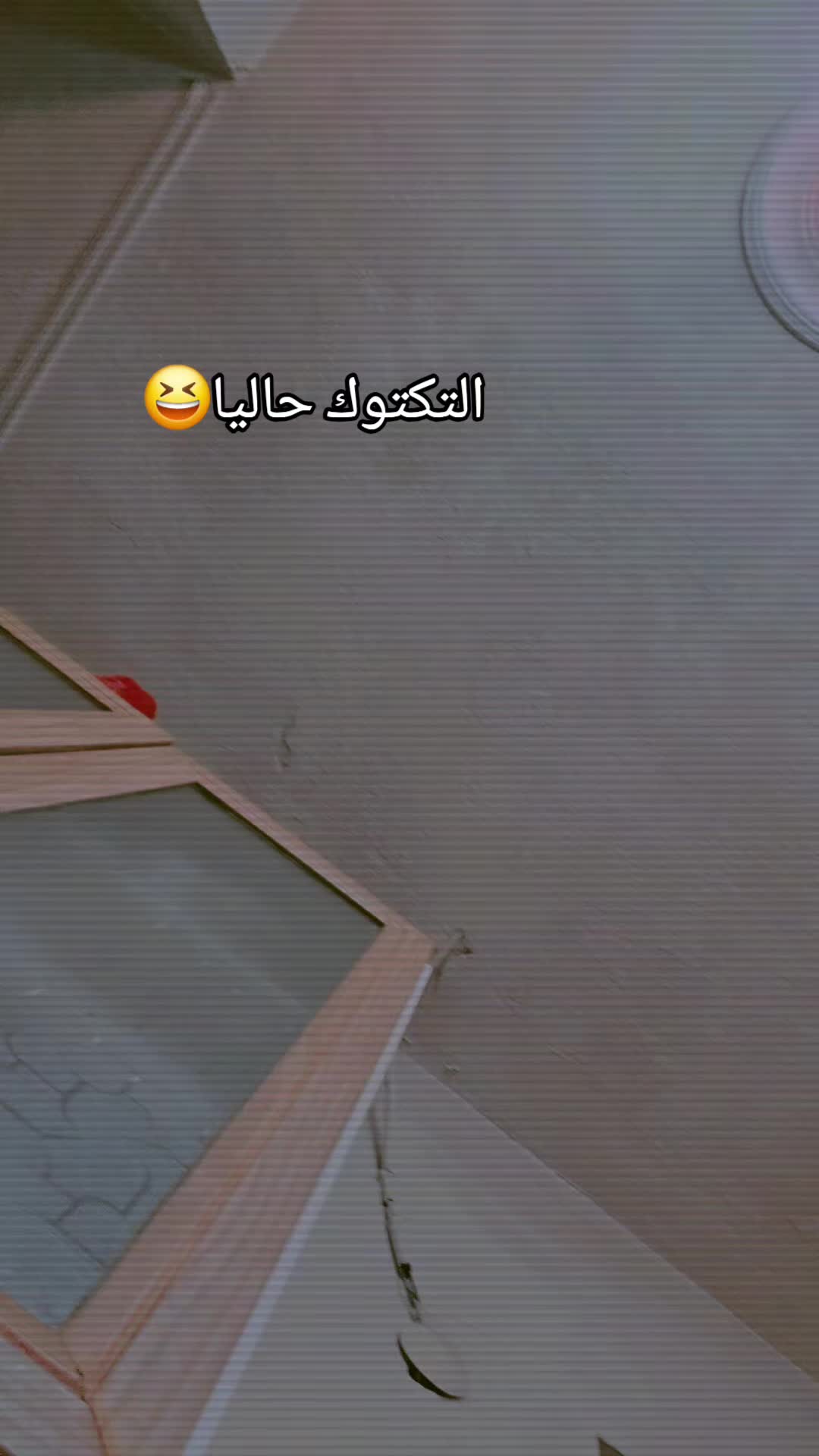 @🌸🌱عائلة لموشي lmosh🌱🌸