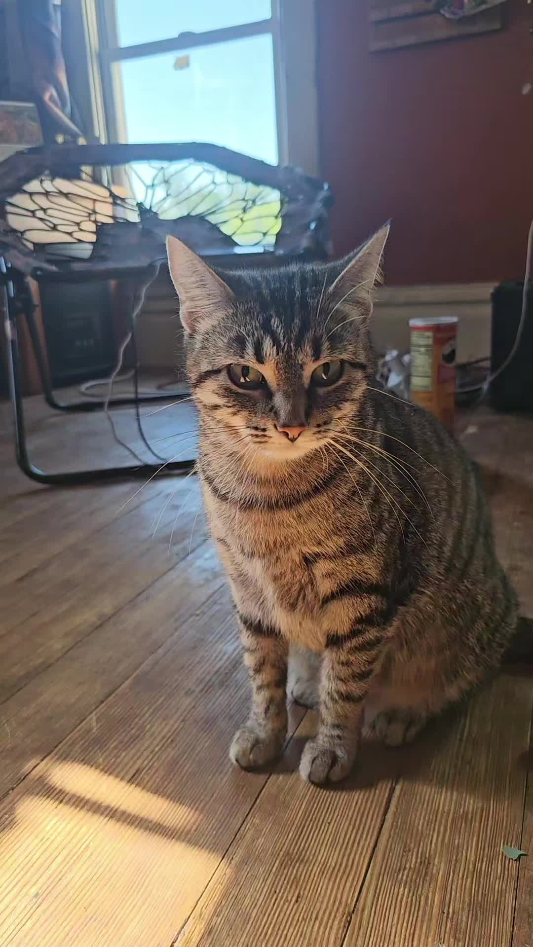 @Catgaga