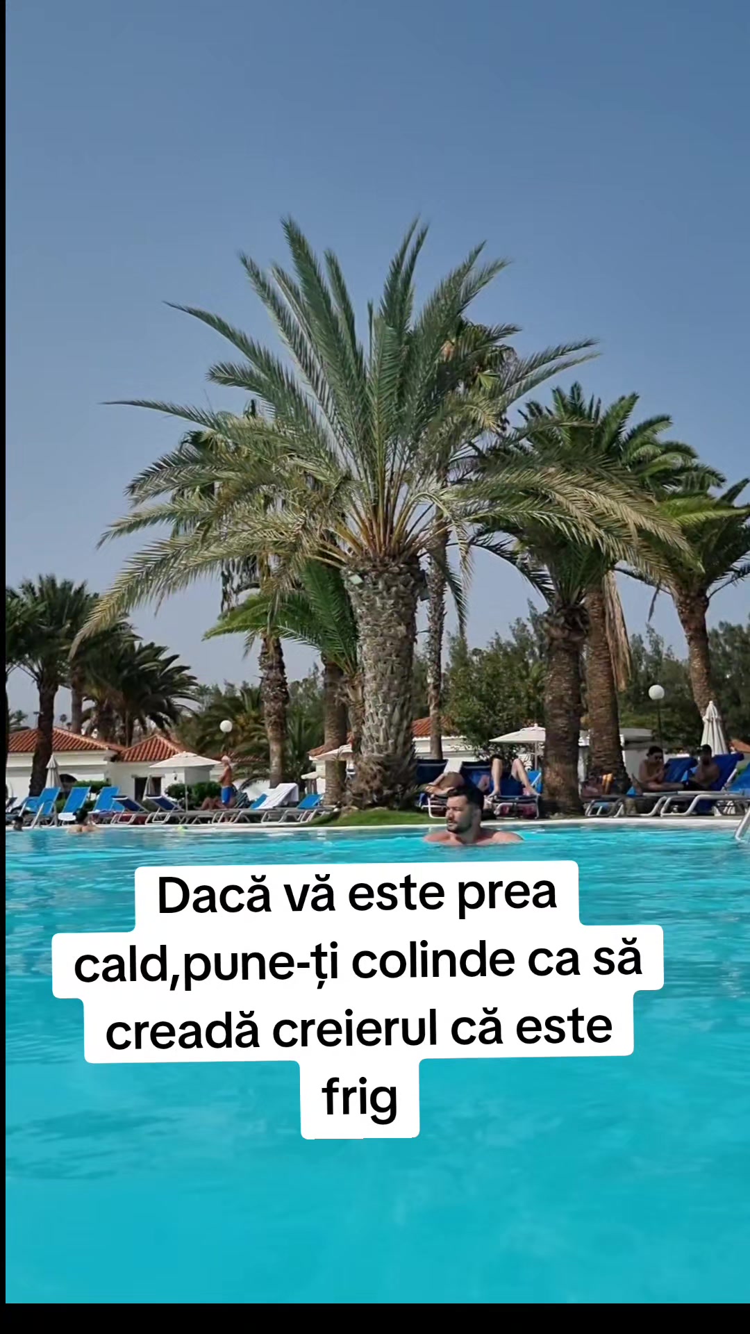 @Fane Dinaci