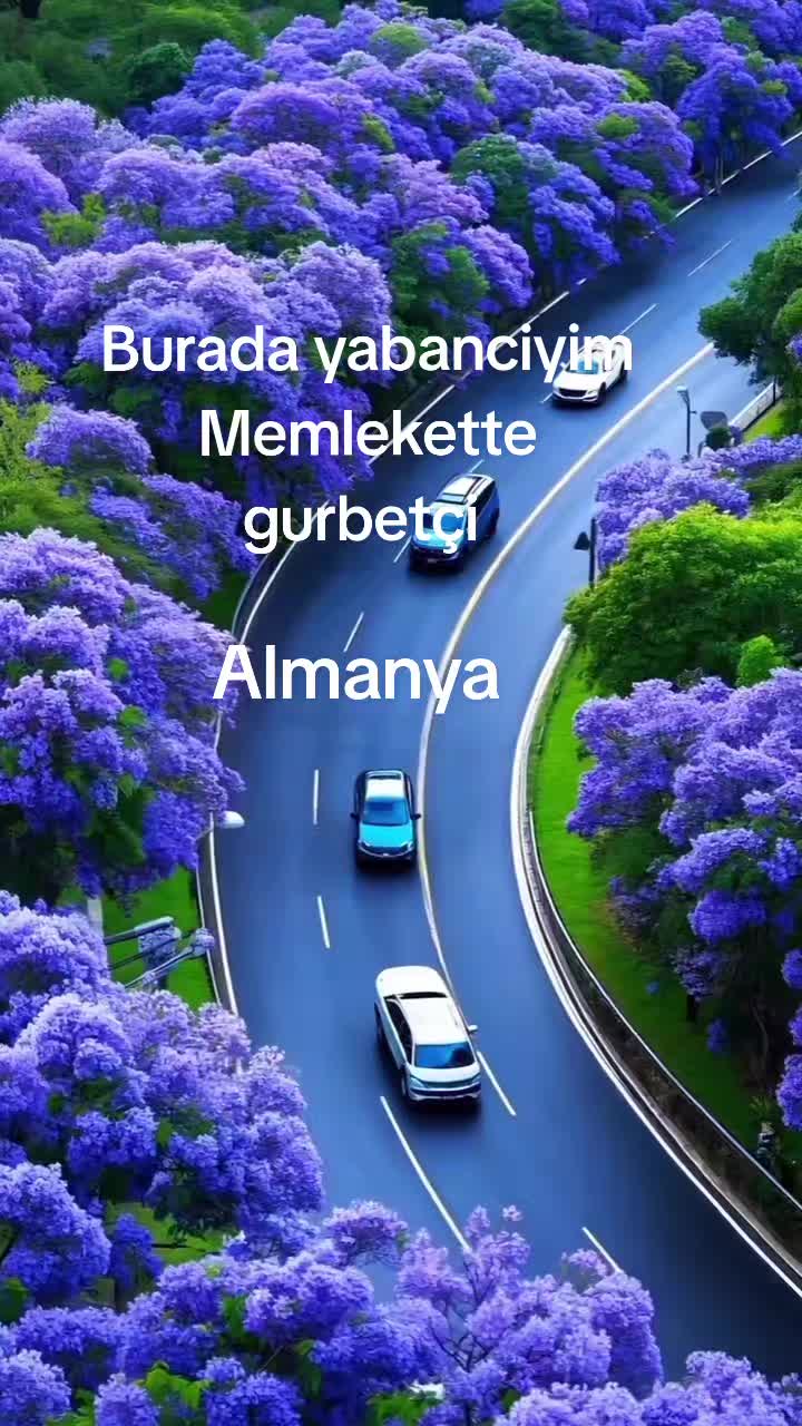@Gülocan_52_🇹🇷_🇩🇪_🍀_❤️🩹