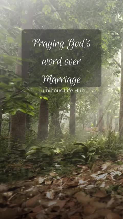 @Luminous Life Hub