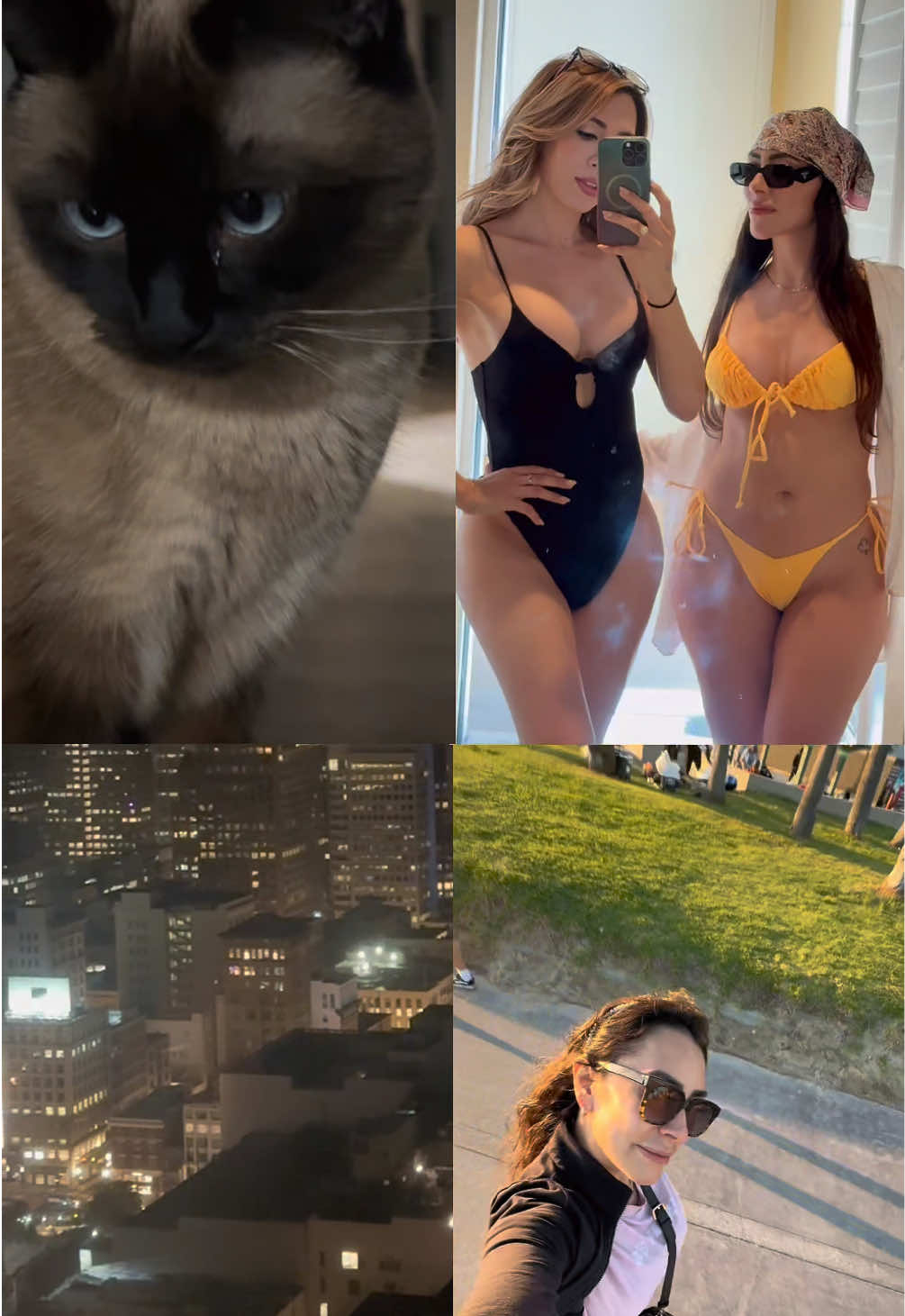 @Bluer Velvet