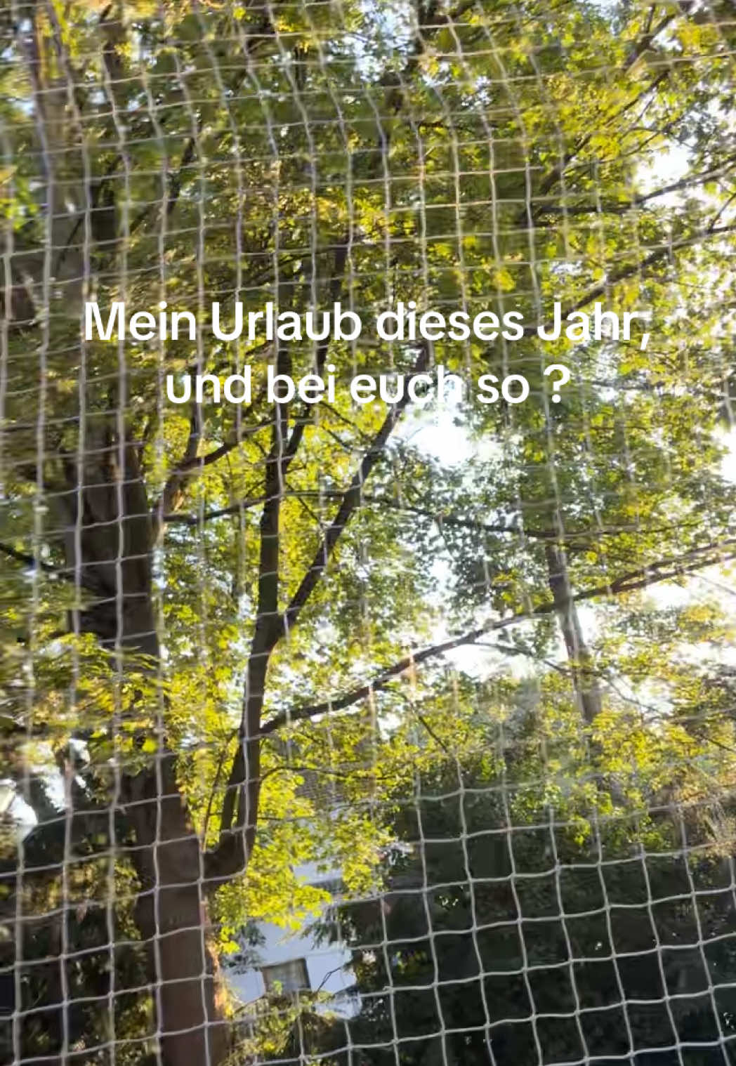 @Sophie-Marie