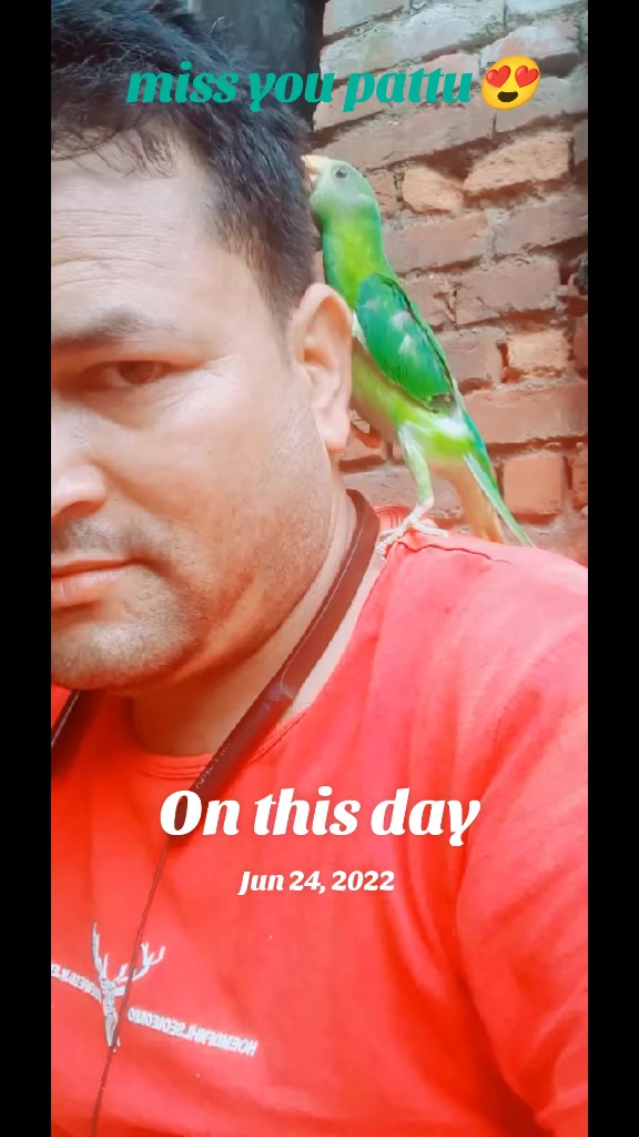 @bhimbibas_aashu_official1