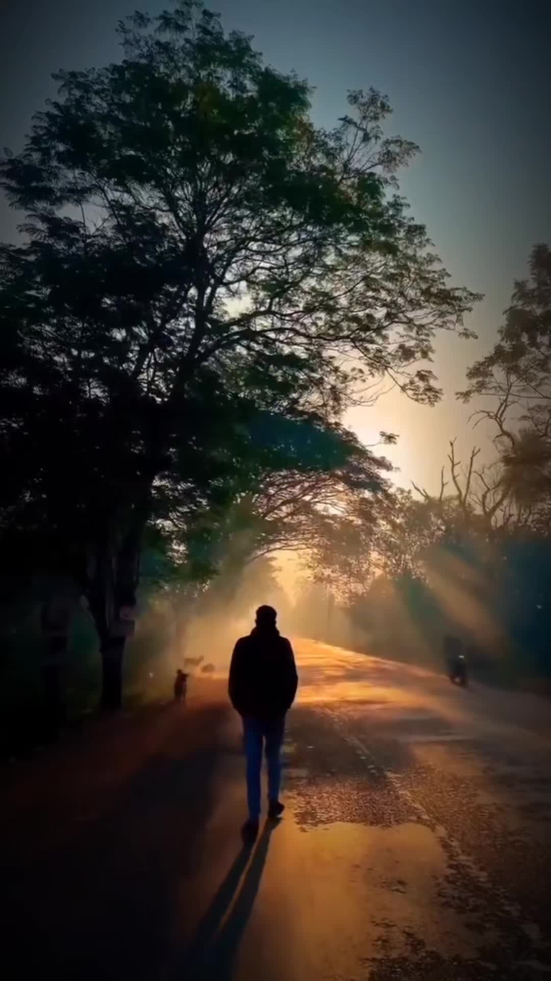 @Сергей