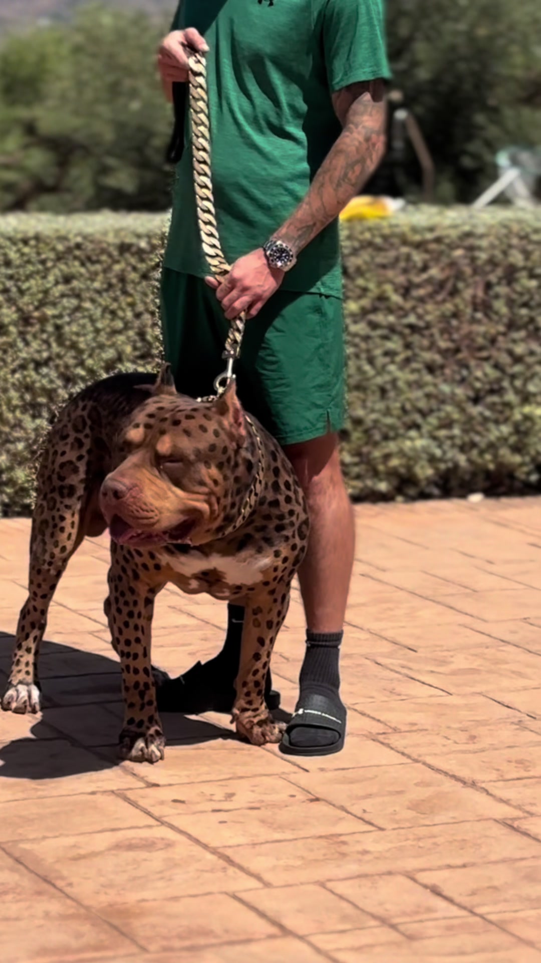 @deanthedogman1