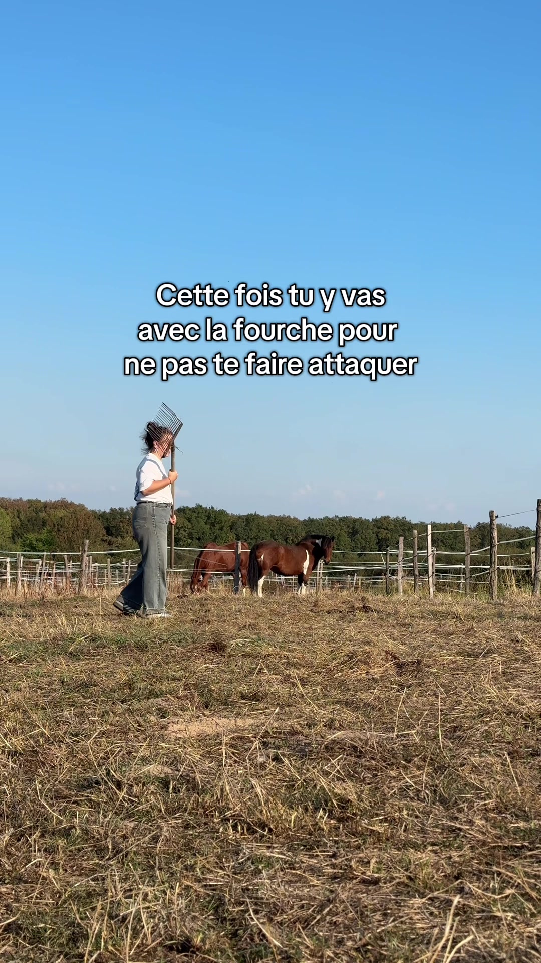 @Seren the pony 🐴
